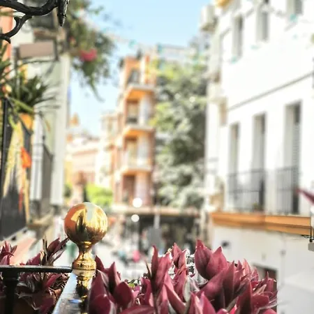 Casa Alfalfa 2 Terraza Y Solarium Privado Sevilla